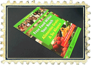 Food Stamps Brochure